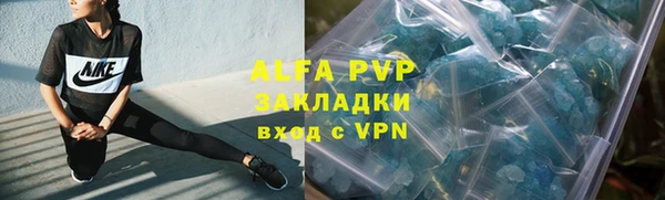 прущая мука Бородино