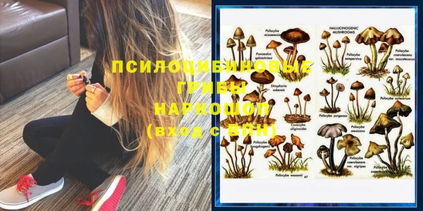 прущая мука Бородино