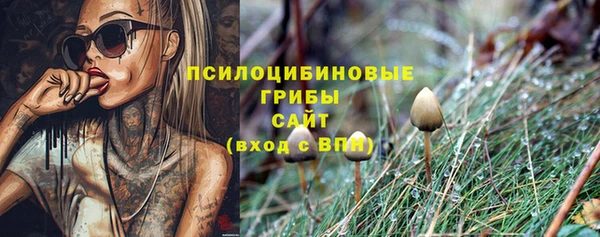 PSILOCYBIN Грязи