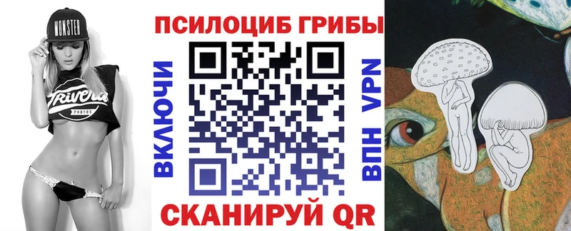Галлюциногенные грибы мухоморы  цена наркотик  Торжок 